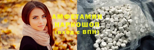 прущие грибы Балахна