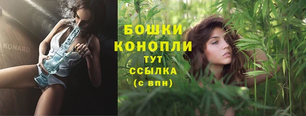 ГАЛЛЮЦИНОГЕННЫЕ ГРИБЫ Балабаново
