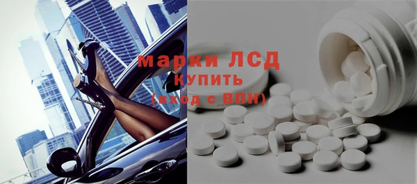 прущие грибы Балахна