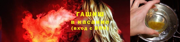 прущие грибы Балахна