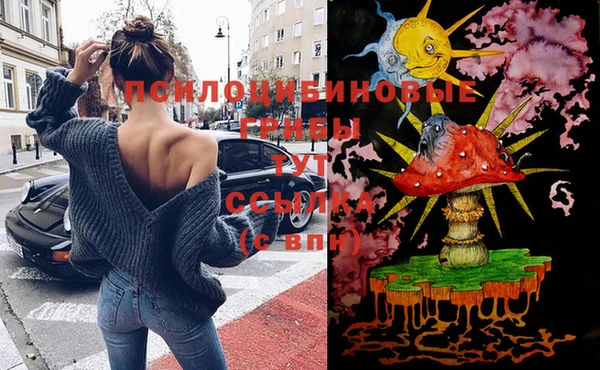 ГАЛЛЮЦИНОГЕННЫЕ ГРИБЫ Балабаново
