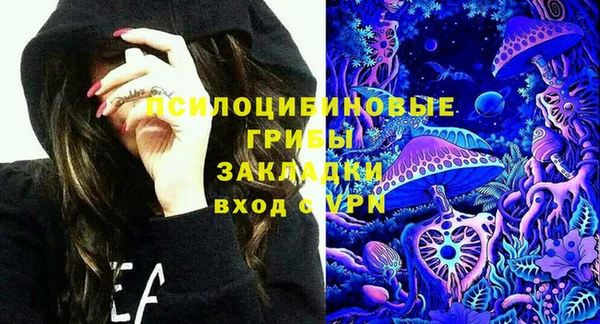 молекула духа Каменка