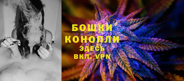 ГАЛЛЮЦИНОГЕННЫЕ ГРИБЫ Балабаново