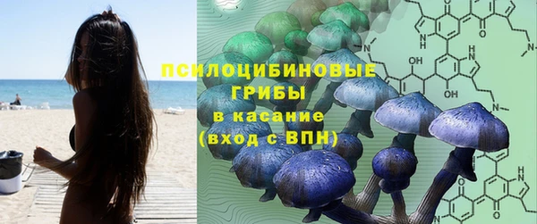 ГАЛЛЮЦИНОГЕННЫЕ ГРИБЫ Балабаново
