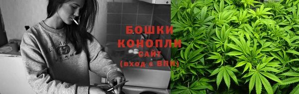 прущие грибы Балахна