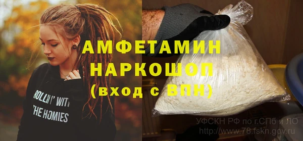 прущие грибы Балахна